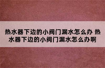 热水器下边的小阀门漏水怎么办 热水器下边的小阀门漏水怎么办啊